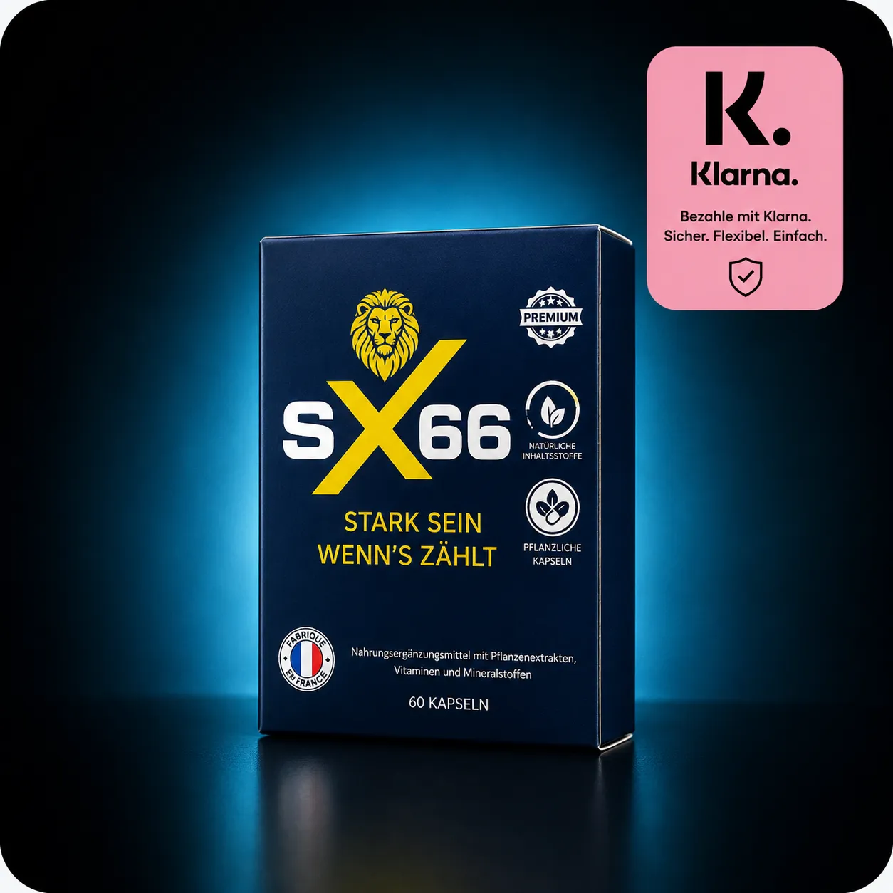 Klarna Payer plus tard SX66